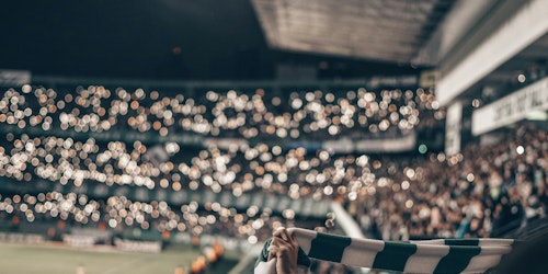 Fans at a football stadium