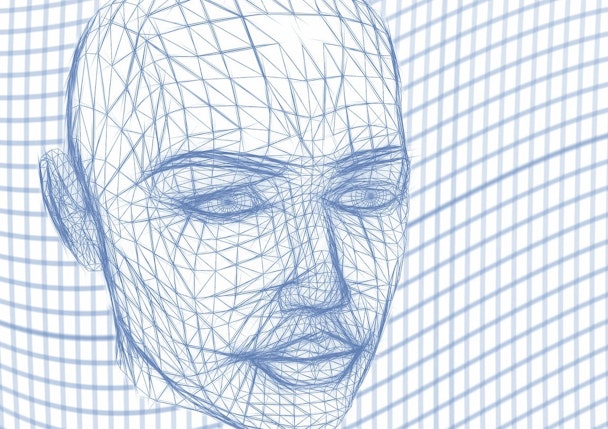 A human head forms from grid lines